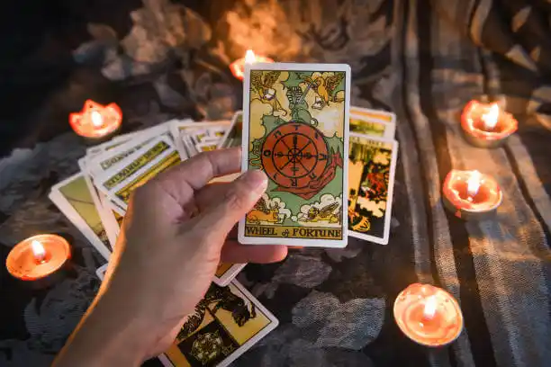tarot cards Shakopee